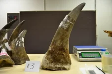 Chinese man Cong Yanzhong jailed 18 years in Harare for rhino horn ivory.webp