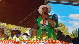 ZANU PF's path to Vision 2030, giving women chicks in Mash West.webp