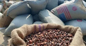 Ada police seize 248 cocoa bags, arrest Solomon and Nicholas Tetteh.webp
