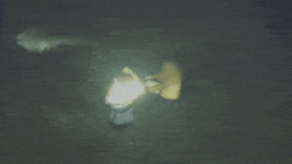 Incheon Coast Guard lapse leaves Lee Jae Seok dead, probe opens.gif