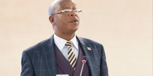 Ziyambi Ziyambi tells Zimbabwe to keep paying old fees, Parliament snores.webp
