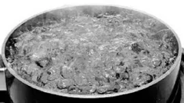 Emganwini woman in Bulawayo held after maid scalded with boiling water, court orders psych test.webp
