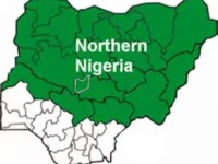 Northern League of Democrats' Umar Ardo slams corrupt politicians over Nigeria's sinking econ...webp