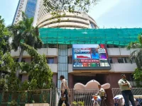 Bajaj Finance and HDFC got richer on Dalal Street, LIC ate dirt.webp