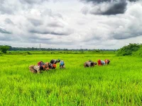 Over 5 million farmers cash in as FPOs drive big gains across India.webp