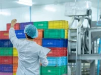 India tipped to fill global jobs gap as labor crisis looms worldwide.webp