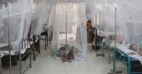 Bangladesh dengue deaths hit 150 with 3 more fatalities.webp