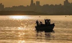 WTO fisheries deal kicks in as illegal fishing bans and subsidy rules hit.webp