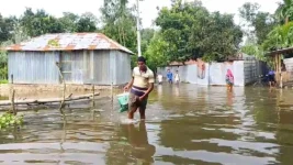 Teesta floods hit Lalmonirhat as the river tops the danger mark, and all gates open.webp