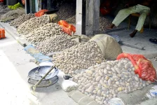 Potato prices crash in north Bangladesh as farmers defy Tk22 floor rate.webp