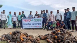 Satkhira's Shuvosangho group plants 300 palm seeds.webp