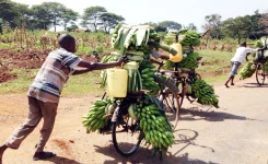 Police hunt Wahabu for lynching Simon Wamala in Mbale.webp