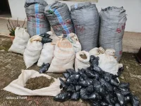 Police arrest 54 over cultism and drug offences in Anambra State.webp