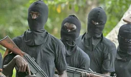 Gunmen kill Customs officer at Fingila checkpoint in Kebbi State.webp