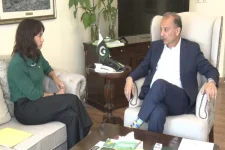 Malik meets Swedish envoy in Islamabad on climate.webp