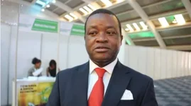 Hlabangana says Zimbabwe needs US$30bn for climate action.webp
