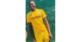 FC Platinum's Perfector Shoko dies after poisoning.webp