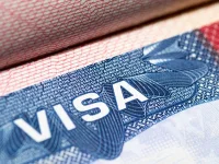 Trump hits Indian techies with $100k H-1B fee.webp