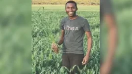 Kwekwe fields roar as Limpopo Zambezi seeds dwarf imports.webp