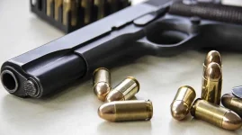 Mnangagwa gives Zimbabwe's gun nuts one last chance.webp