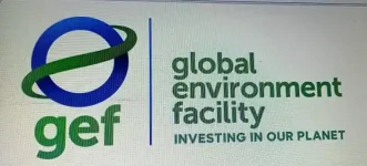 GEF's big plan to save the planet- another Gambia workshop.webp