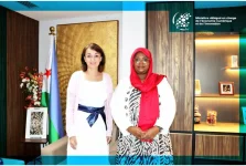 Djibouti and Romania's weird digital pact revealed.webp