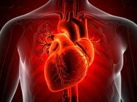 Heart disease kills 19 million in 2023, BMI and sugar are blamed.webp