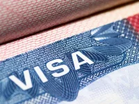 US slaps $1 million H-1B fee, TCS and Infosys just shrug.webp