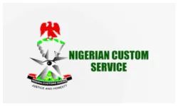 Nigeria Customs breaks website, threatens applicants.webp