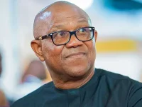 Peter Obi's Obidient cult pops up in Yobe.webp