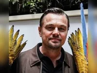 Leonardo DiCaprio says box office still rules, rejects Lenny Williams.webp
