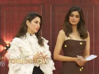 Tamannaah Diana crash Rise and Fall for OTT blitz.webp
