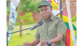 Nyaminyami villagers swap lion panic for gardens and bikes.webp