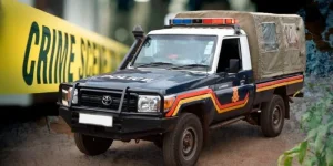 Police bust vehicle and livestock theft rings in Makindu and Embu.webp