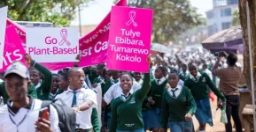 Kyotera rally fires up plant diet cancer fight.webp