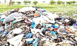Bishkhali River strangled by nets, trawlers, and bribes.webp