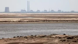 Zaporizhzhia plant on edge, Russia and Ukraine play blame roulette.webp