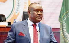 Pan-African Parliament feeds AI to the lions.webp
