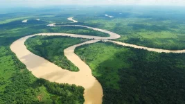 Kinabatangan crowned Unesco biosphere, Crocker clings.webp