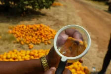Zimbabwe arms crop cops with tablets as pest wars heat up.webp