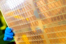 Apple and Tesla sniff glass chips, dream of silicon flex.webp