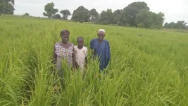 North Bank rice farmer begs rain gods as climate chaos crushes hope.webp