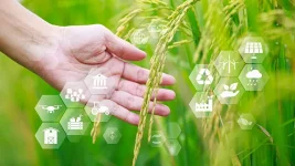 Brazil, South Africa ink farm pact as trade soars.webp