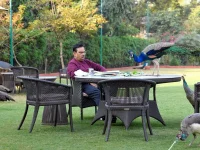 Rajasthan CM runs state on coconut water.webp