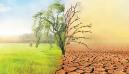 Khulna blames the West as climate chaos wrecks the coast.webp