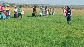 Kunaka's patrols to hunt down farm supply hustlers.webp