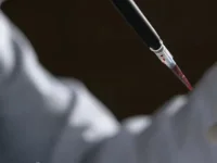 India pays Rs 3k crore for some freaky science stuff.webp
