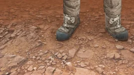 Elon Musk vows to live and die on Mars after making it part of America.webp