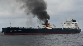 Houthis target Dutch ship, worsen Red Sea chaos.webp