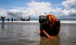 US, UK drop $96M for Rohingya, on Tuesday.webp